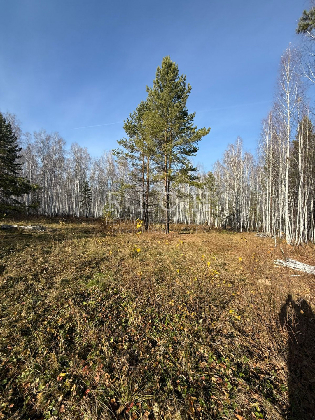 Фото 9: Участок, Увильды