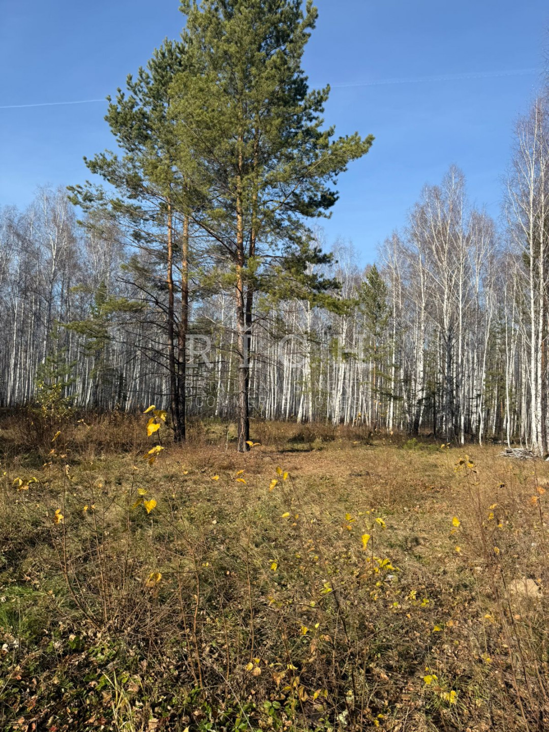 Фото 4: Участок, Увильды