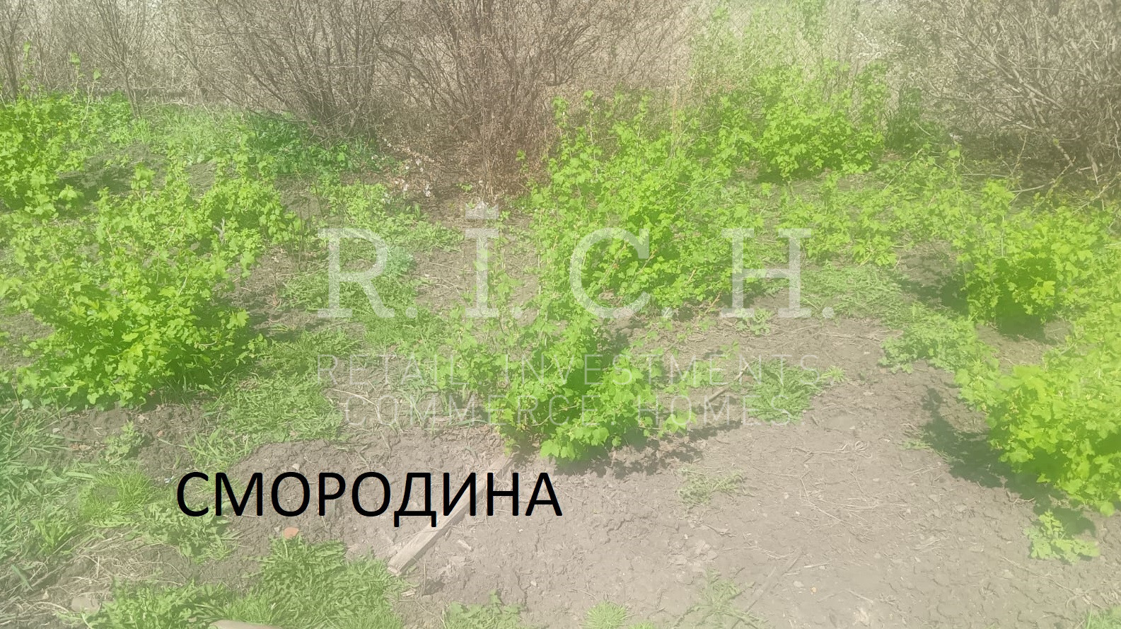 Фото 20: Участок, 3-й квартал 7-я ул.