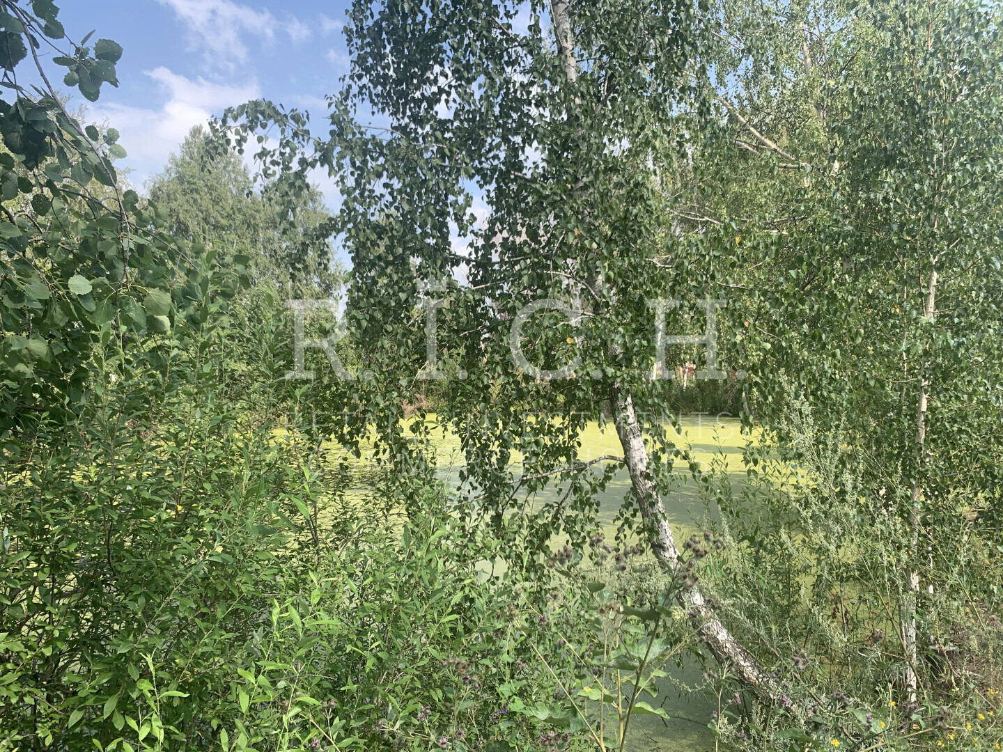 Фото 4: Участок, 3-й квартал 7-я ул.
